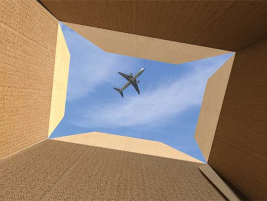 Air cargo makes it happen sustainably