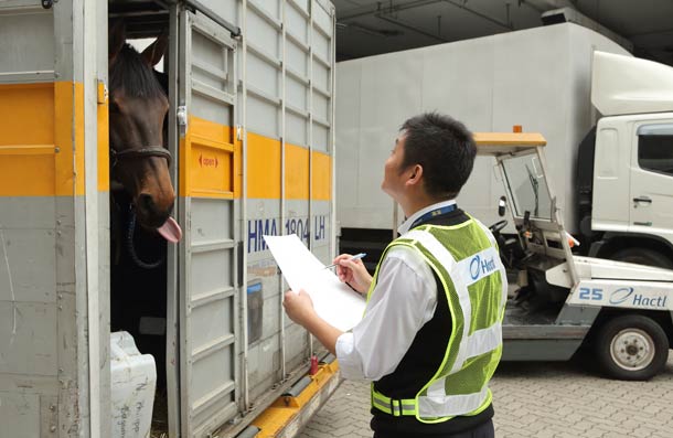 Air cargo’s esteemed guests