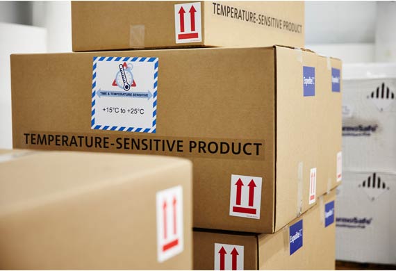 Flexible solutions crucial for pharma supply chain Flexible solutions crucial for pharma supply chain