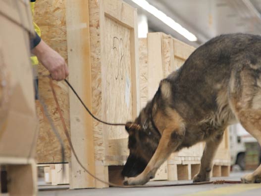 Beefing up air cargo security