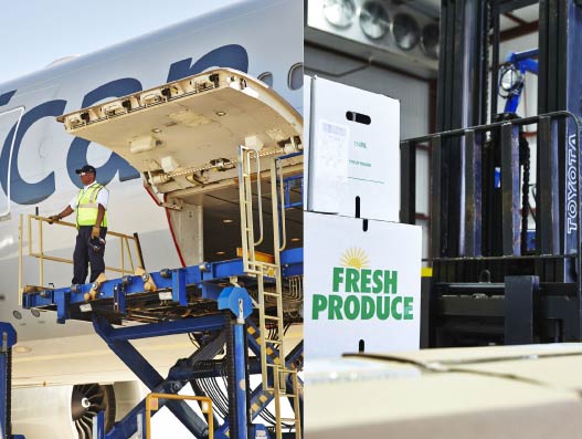 LATAM: Embracing opportunities, overlooking challenges LATAM: Embracing opportunities, overlooking challenges