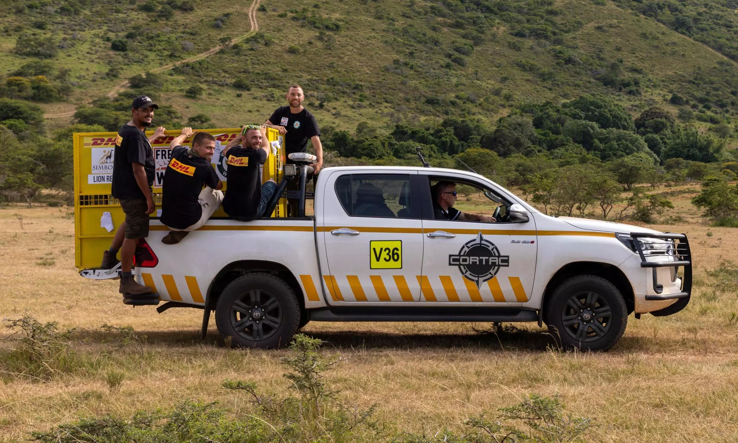 DHL Global Forwarding helps relocate wild cats from Ukraine to South Africa