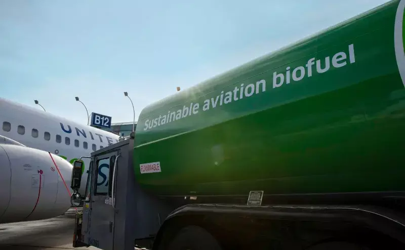 United wins 3rd corporate TIACA sustainability award United wins 3rd corporate TIACA sustainability award