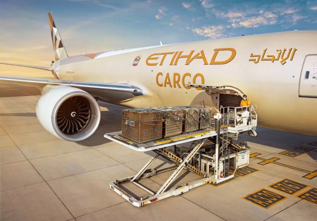 Etihad Cargo transports 4 rescued servals to their forever home