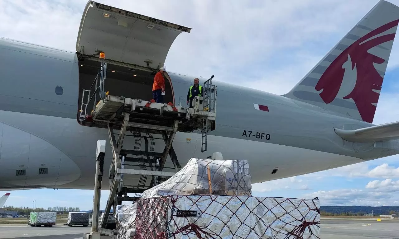 Qatar Airways Cargo: trailblazing the next generation of air cargo biz