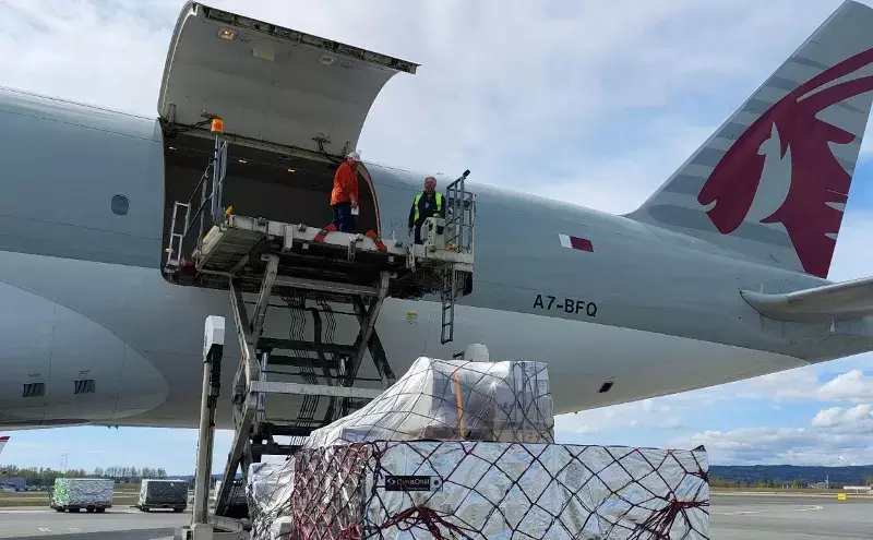 Africa & Qatar Airways Cargo together script a wholesome story Africa & Qatar Airways Cargo together script a wholesome story