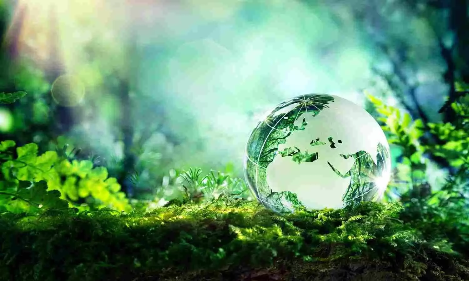Join the revolution: marking five successful sustainability campaigns Join the revolution: marking five successful sustainability campaigns
