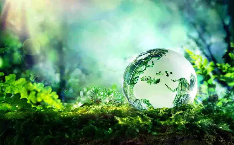 Join the revolution: marking five successful sustainability campaigns Join the revolution: marking five successful sustainability campaigns