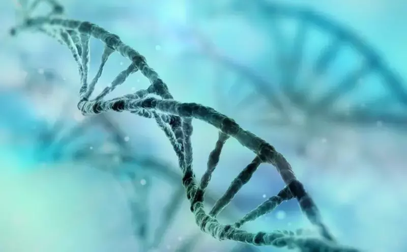 Air transport essential link in logistical chain for cell and gene therapy Air transport essential link in logistical chain for cell and gene therapy