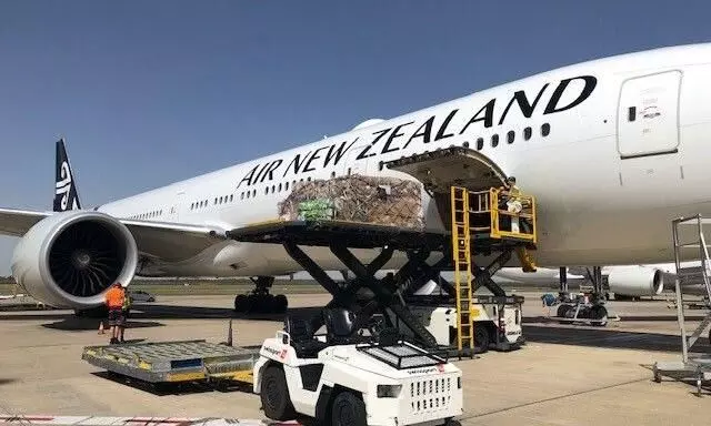 Air New Zealand Cargo, ACP Worldwide sign deal for Australia Air New Zealand Cargo, ACP Worldwide sign deal for Australia