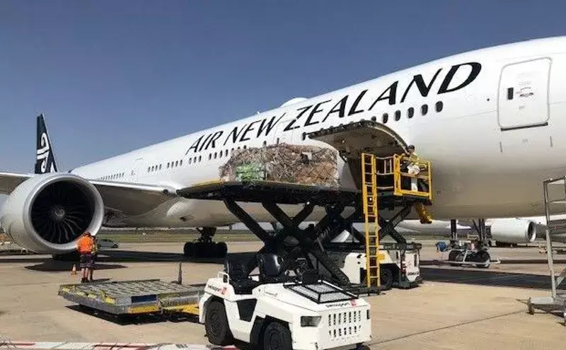 Air New Zealand Cargo, ACP Worldwide sign deal for Australia Air New Zealand Cargo, ACP Worldwide sign deal for Australia