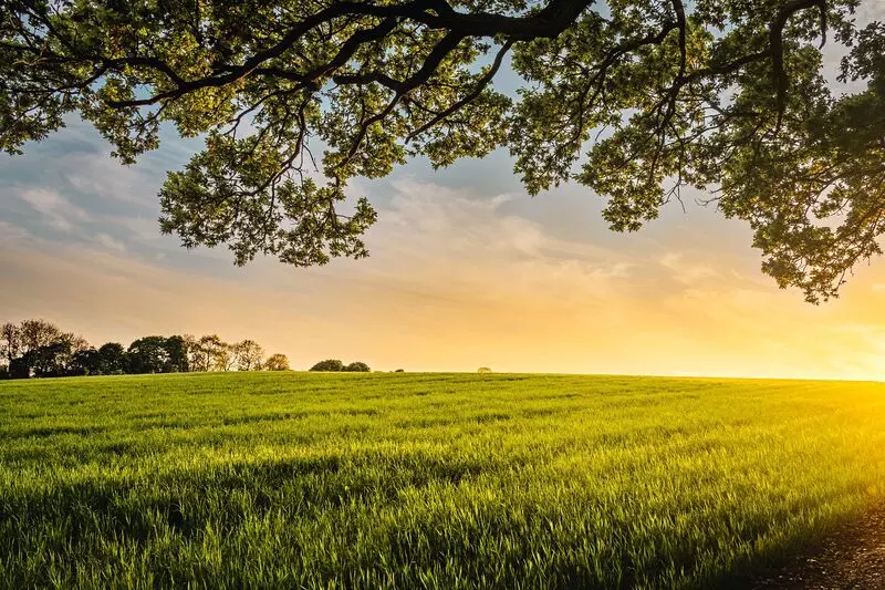 TSOR Group, Eion Corp partner up, to tackle climate change with carbon drawdown TSOR Group, Eion Corp partner up, to tackle climate change with carbon drawdown