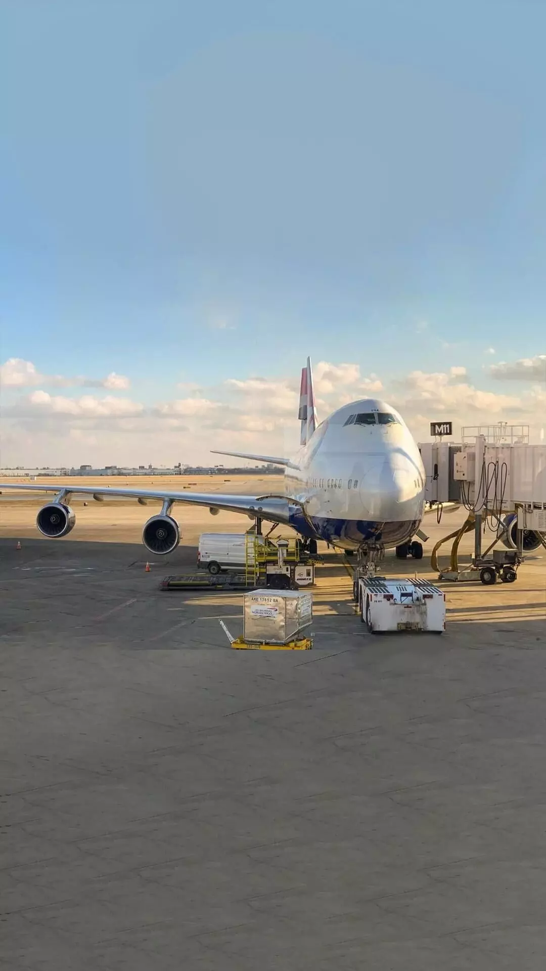 Air cargo demand drops 14% in November: IATA