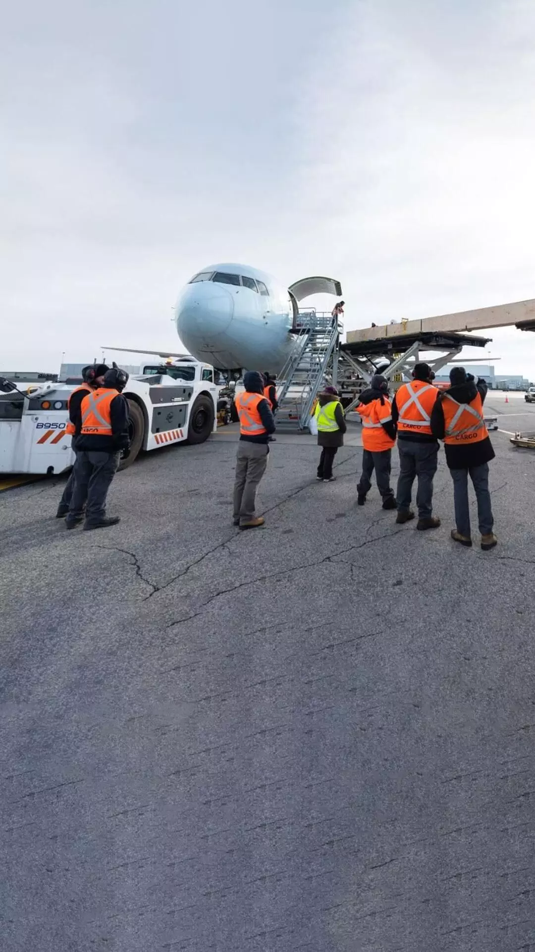 Air Canada Cargo, OEC Canada move massive IMAX screen