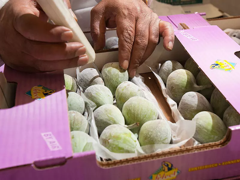 Sustainable freshness - Lufthansa Cargo relies on temperature tracking in real time Sustainable freshness - Lufthansa Cargo relies on temperature tracking in real time
