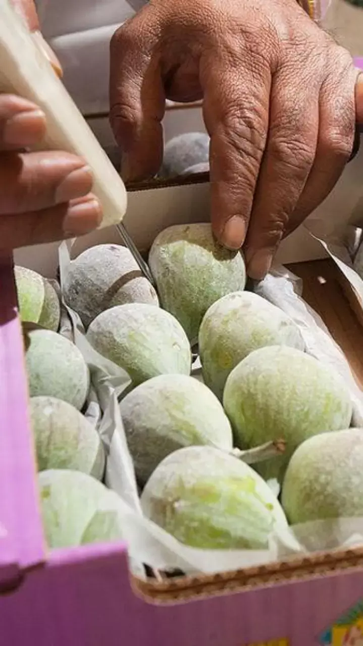 Sustainable freshness - Lufthansa Cargo relies on temperature tracking in real time