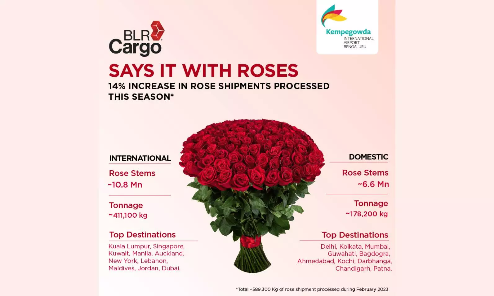 This Valentine’s season BLR Airport reports 14% rise in rose shipments This Valentine’s season BLR Airport reports 14% rise in rose shipments