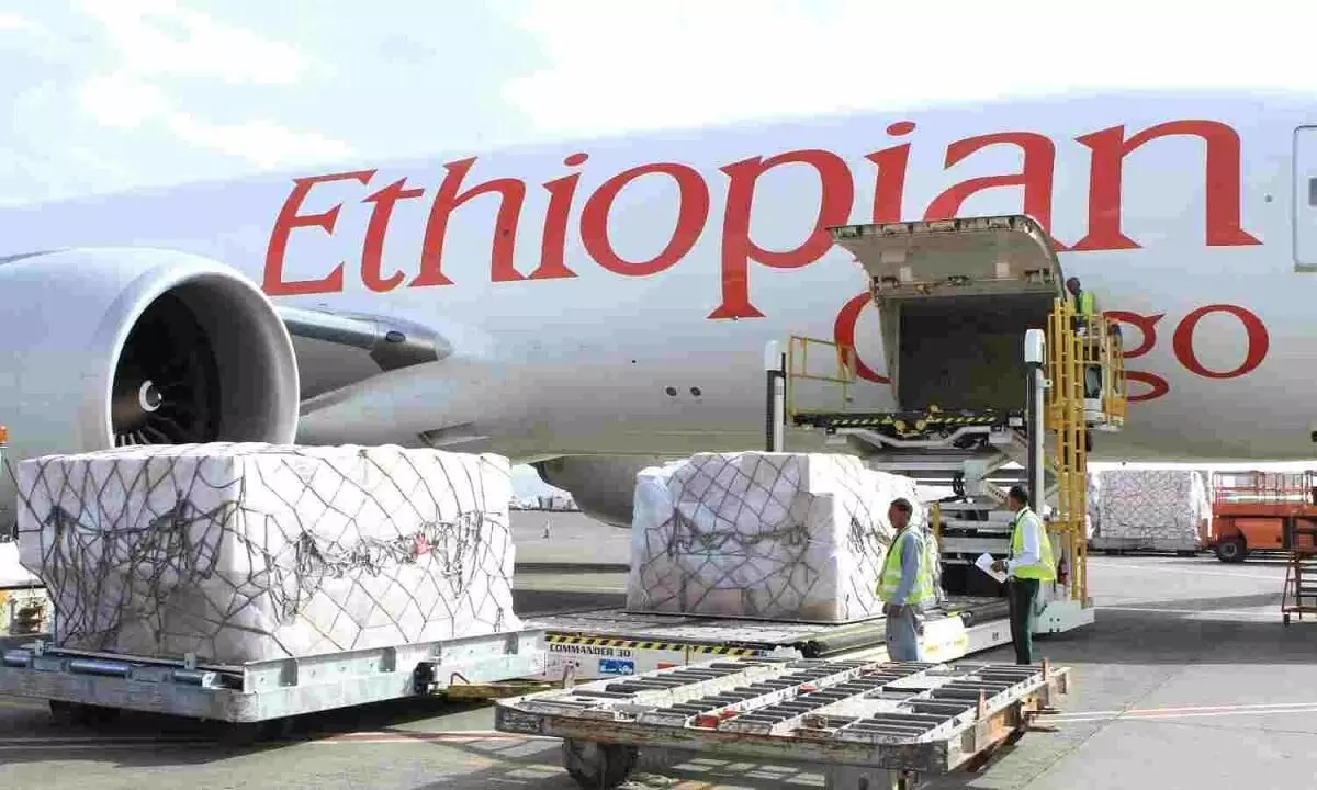 Africa cargo market huge but remains untapped: Study Africa cargo market huge but remains untapped: Study