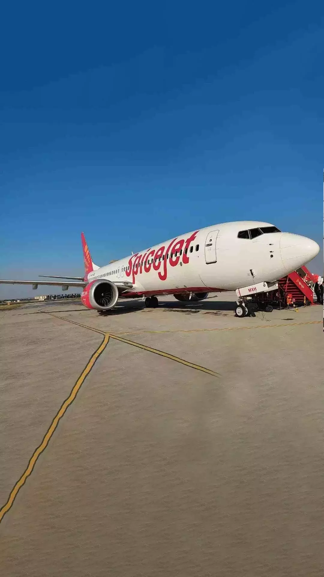 SpiceJet transfers cargo and logistics business to SpiceXpress