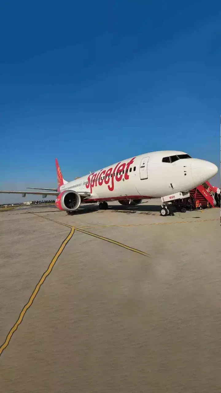 SpiceJet transfers cargo and logistics business to SpiceXpress