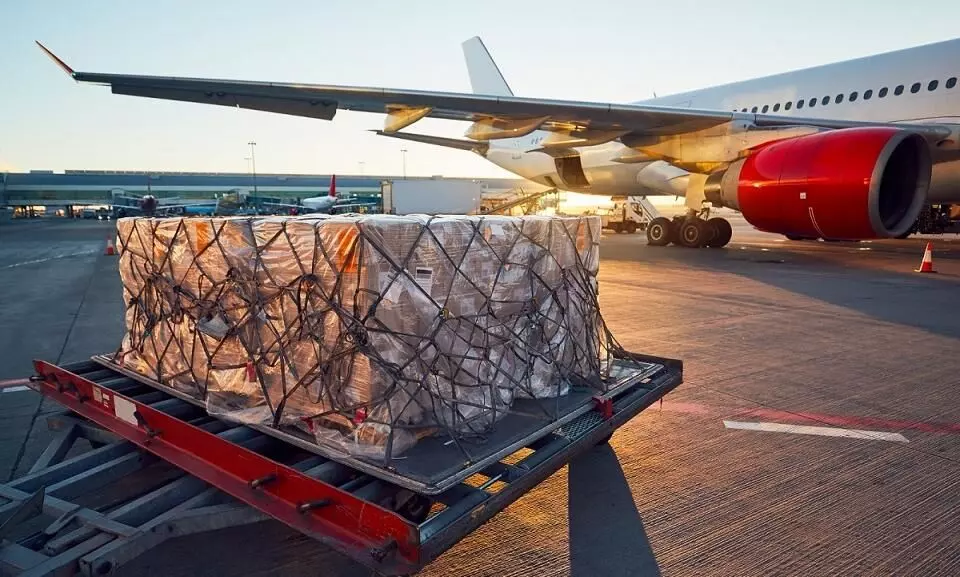 Air cargo shows signs of improvement in February: IATA Air cargo shows signs of improvement in February: IATA