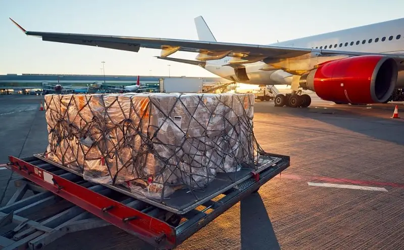 Air cargo shows signs of improvement in February: IATA Air cargo shows signs of improvement in February: IATA