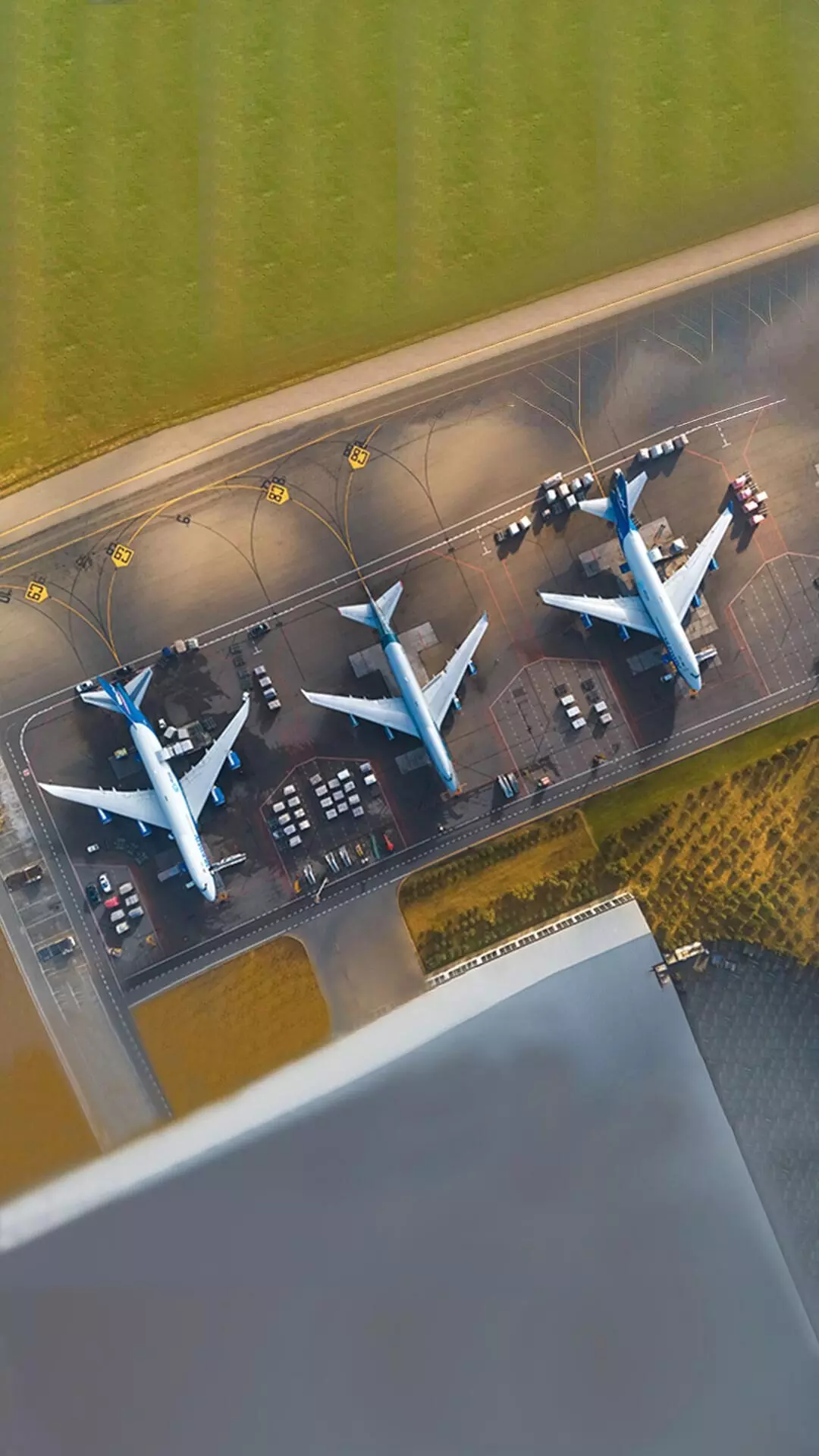 Silk Way West Airlines launches regular flights to Houston