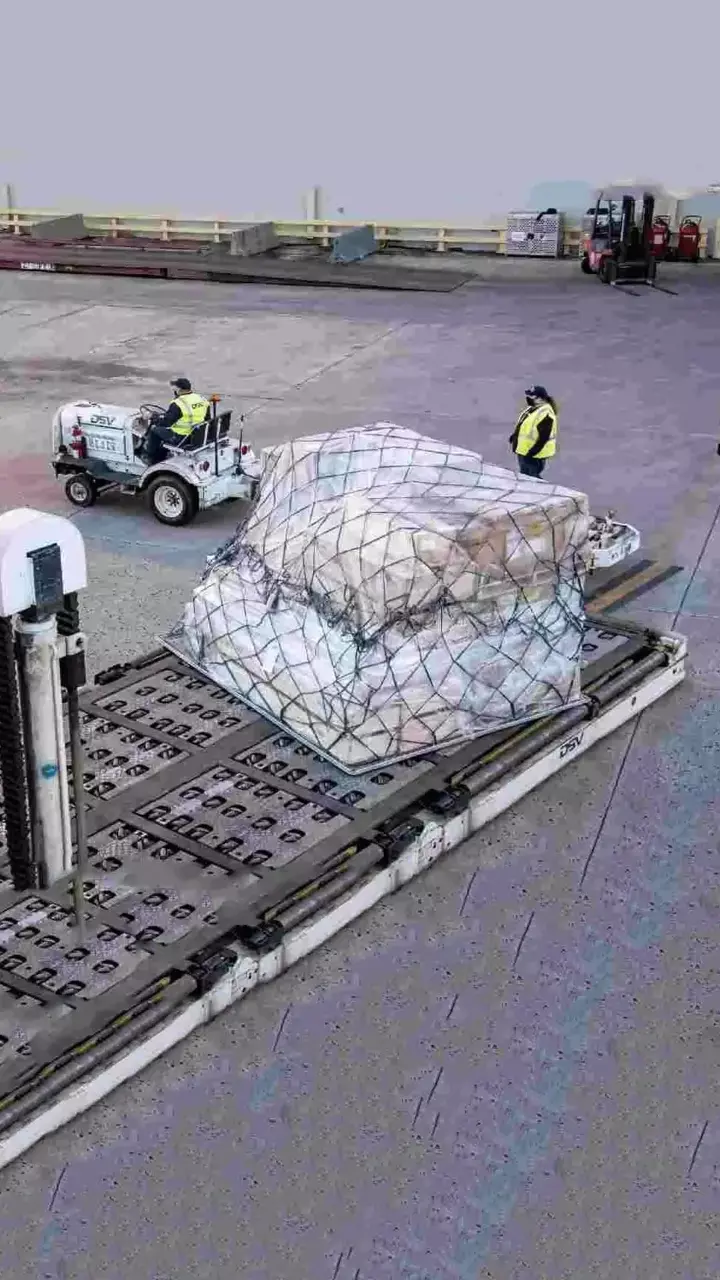 WFS, DSV extend cargo handling contract in Liege