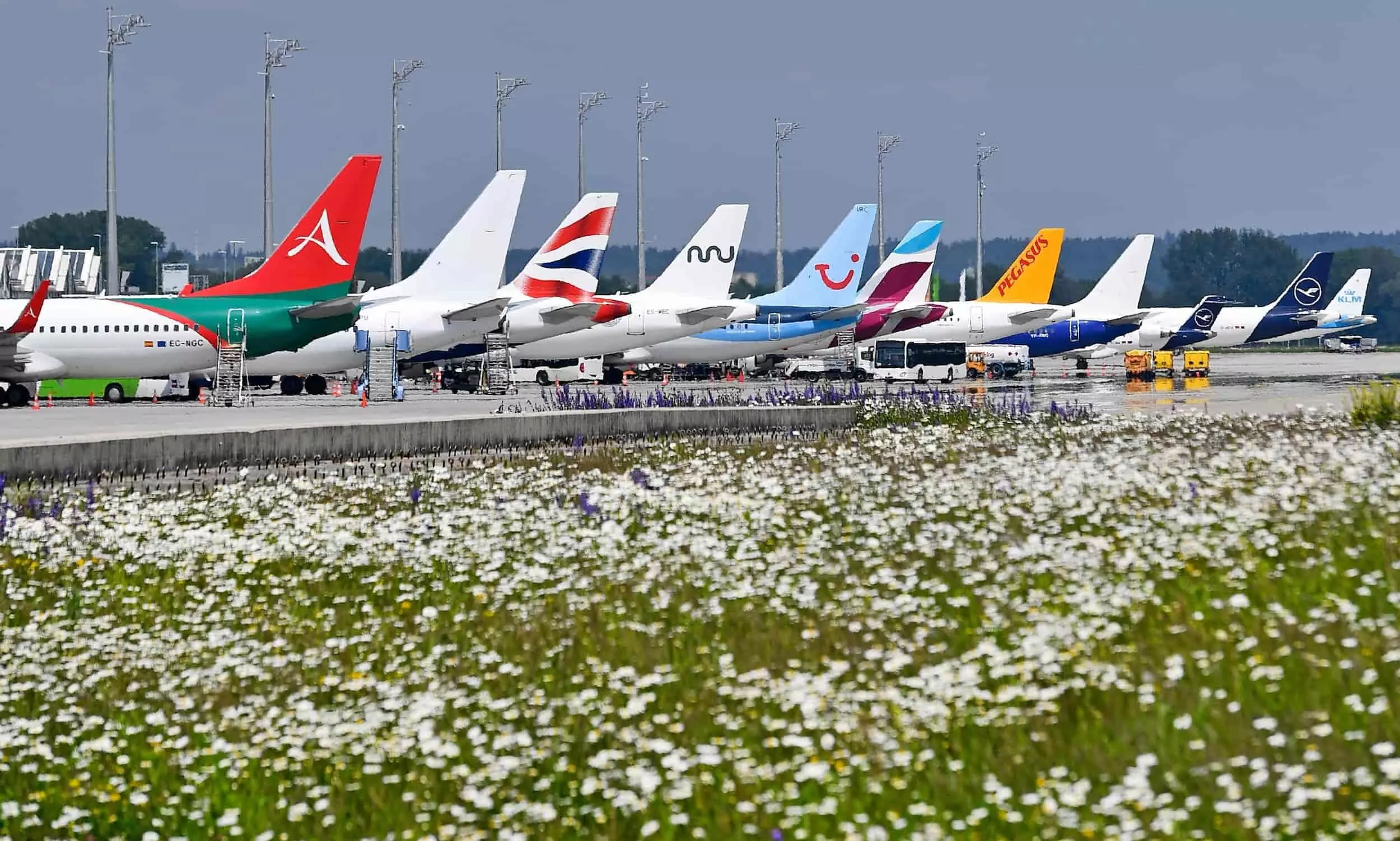 Munich Airport sees 4% cargo volume growth in H12023