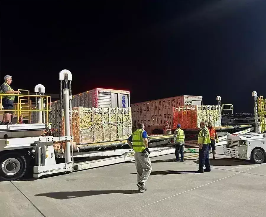 Intradco Global successfully transports livestock from the US to Botswana Intradco Global successfully transports livestock from the US to Botswana