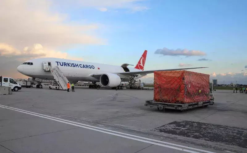 Turkish Airlines Q2 cargo revenue down 44% Turkish Airlines Q2 cargo revenue down 44%