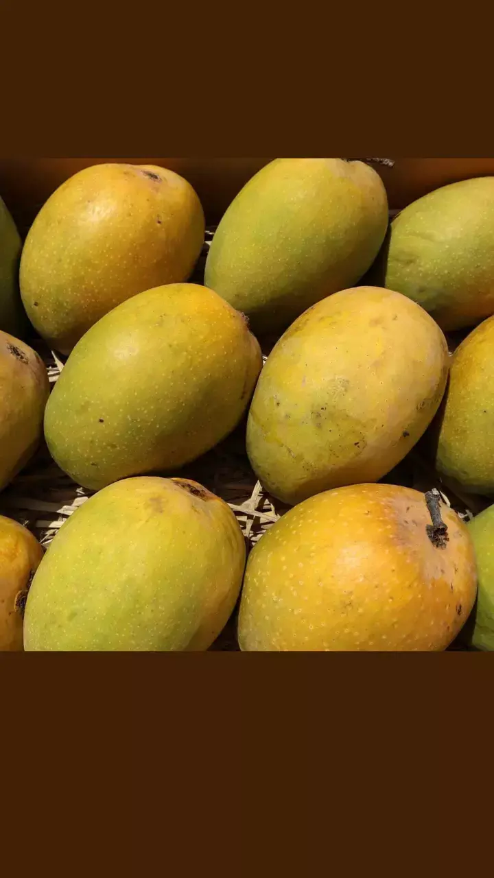 BLR Airport reports 124% surge in mango exports