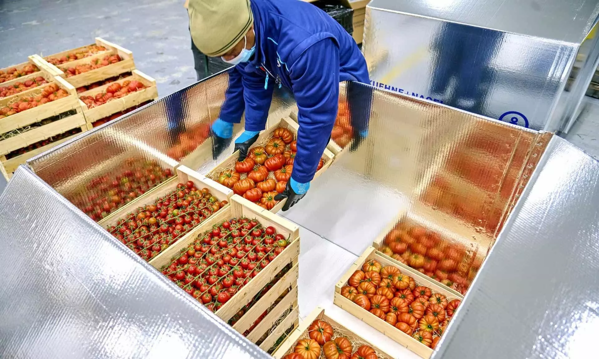 Perishables shipments by air is growing amidst challenges Perishables shipments by air is growing amidst challenges