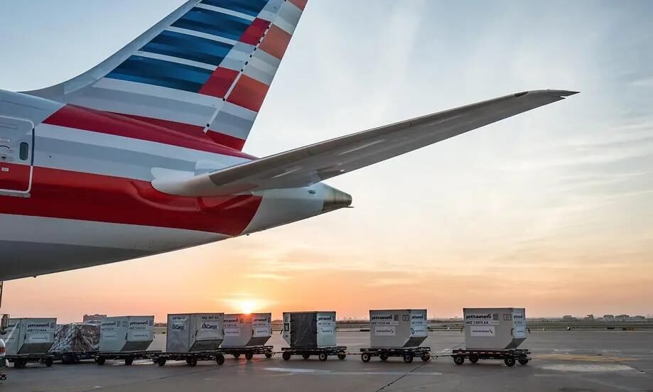 American Airlines Cargo transports premium Brazilian ginger