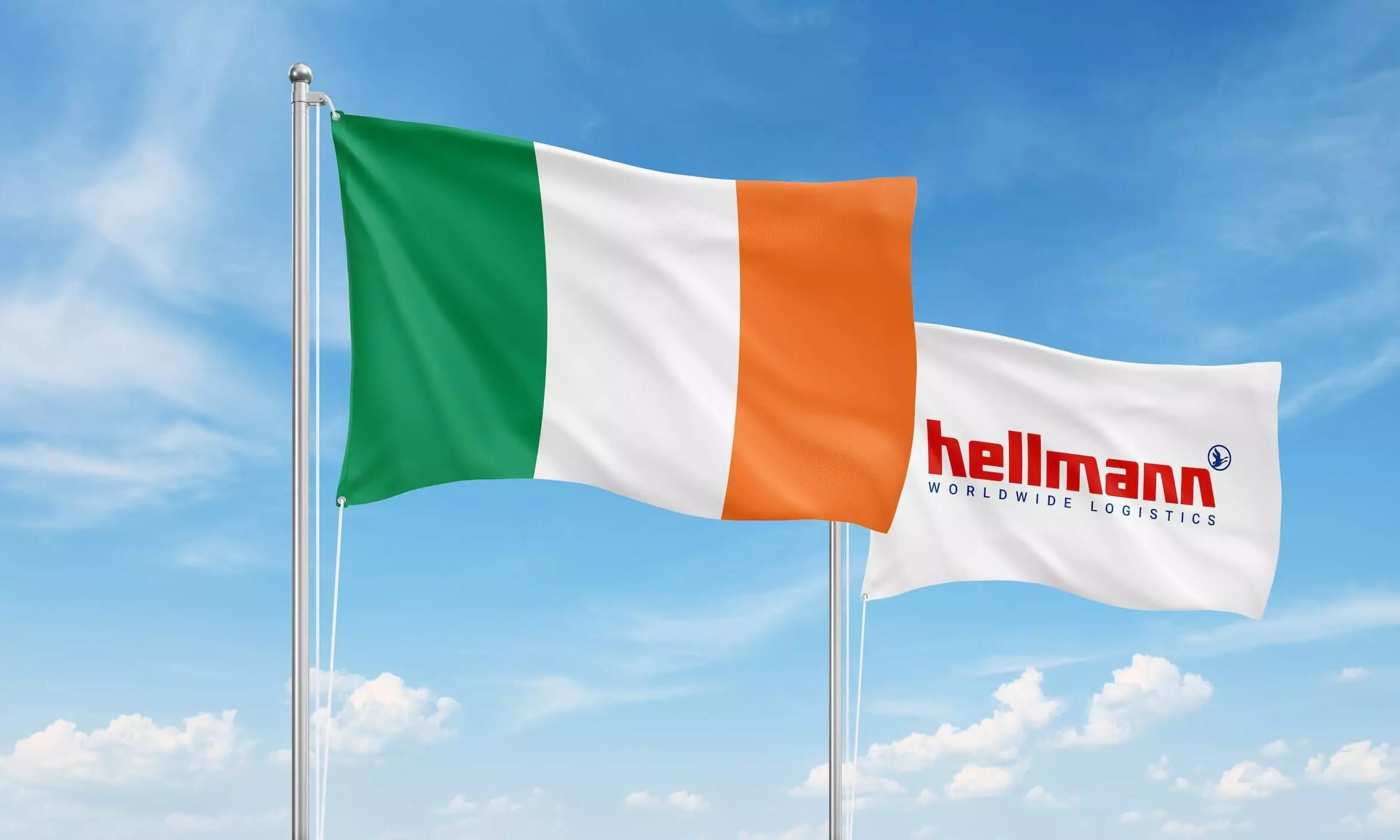 Hellmann forms new company in Ireland