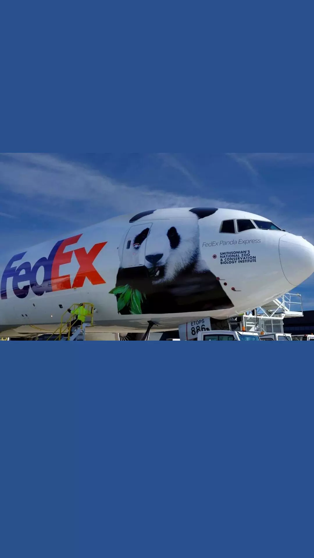 FedEx Q2 revenue down 3%, outlook muted