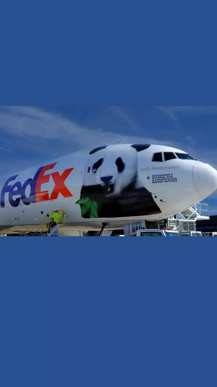 FedEx Q2 revenue down 3%, outlook muted