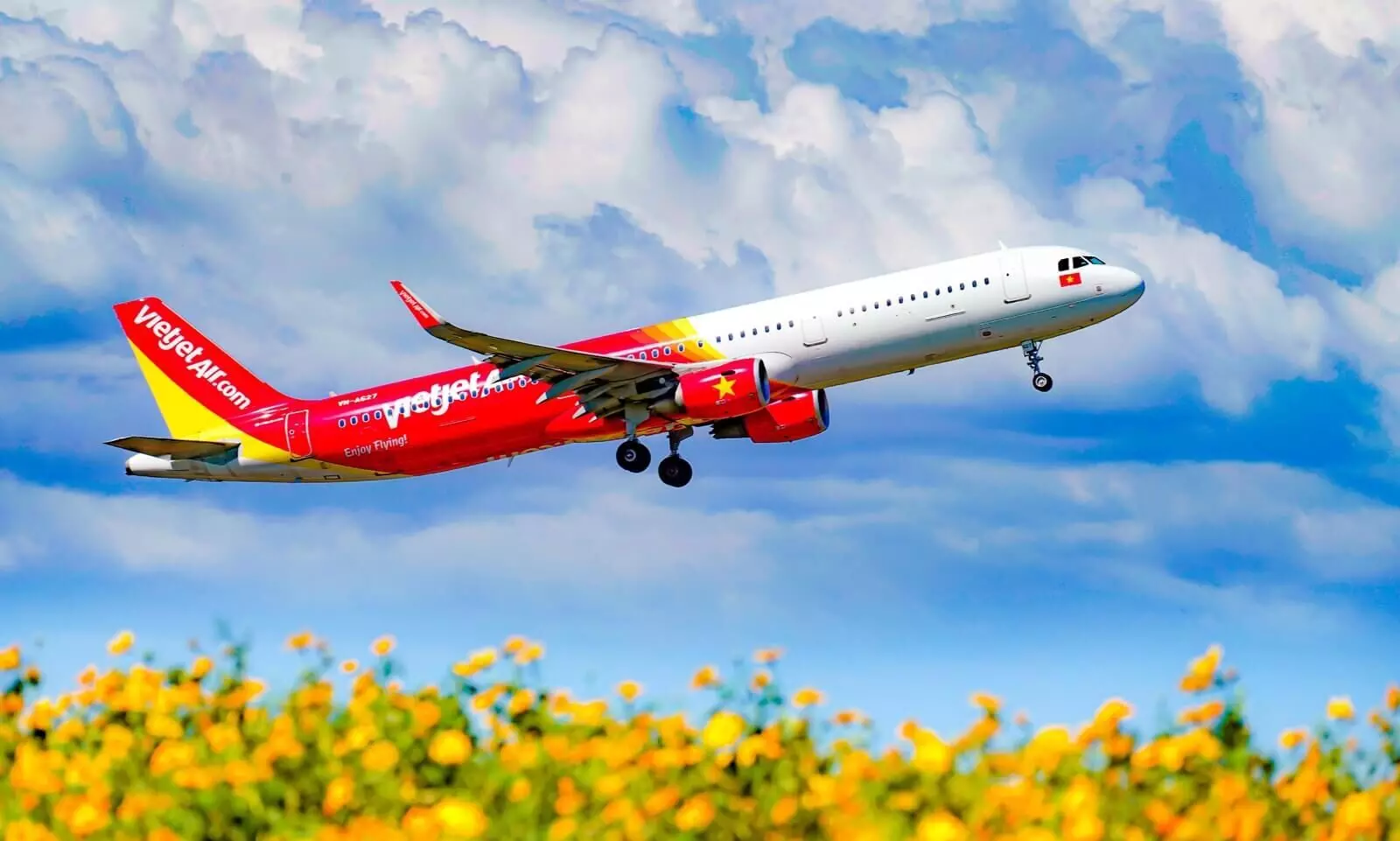 Vietjet to transport apricot and peach blossoms ahead of Tet holiday Vietjet to transport apricot and peach blossoms ahead of Tet holiday