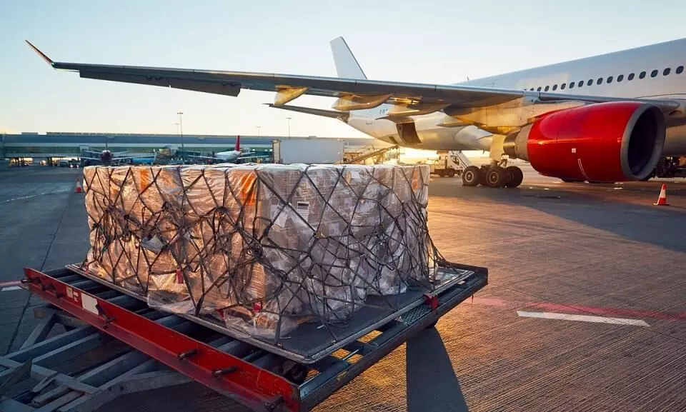 Air cargo demand up 8.3% in November: IATA
