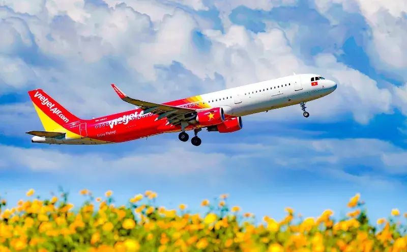 Vietjet to transport apricot and peach blossoms ahead of Tet holiday Vietjet to transport apricot and peach blossoms ahead of Tet holiday