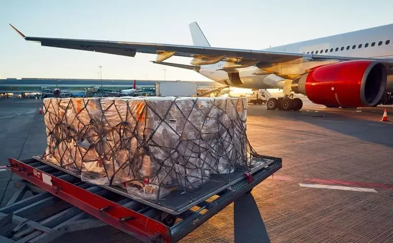 Air cargo demand up 8.3% in November: IATA Air cargo demand up 8.3% in November: IATA