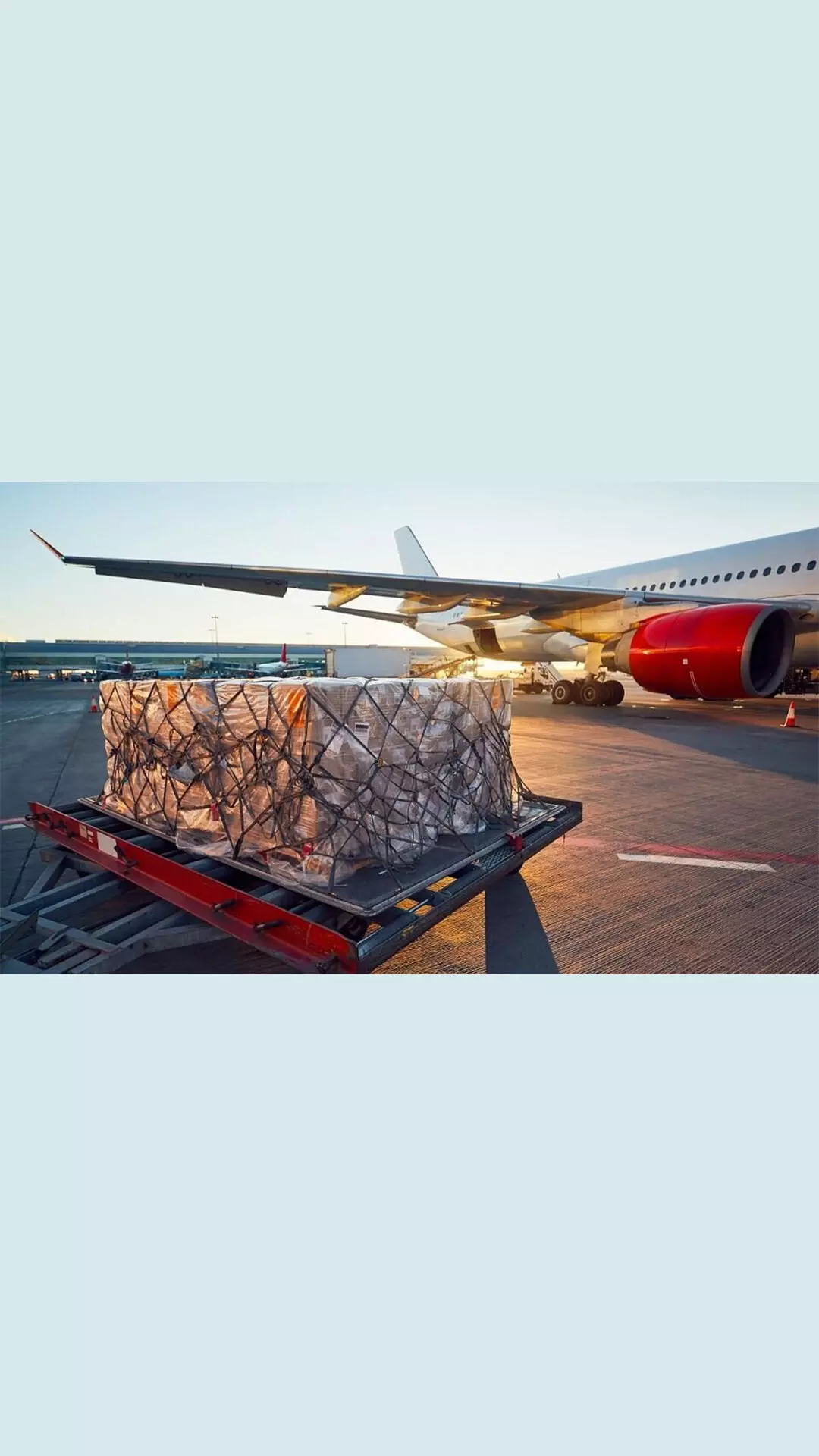 Air cargo demand up 8.3% in November: IATA