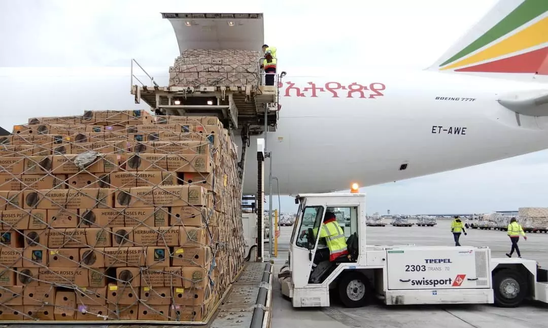 Swissport Flower Corridor moves 9,000 tonnes of fresh roses for Valentines Day