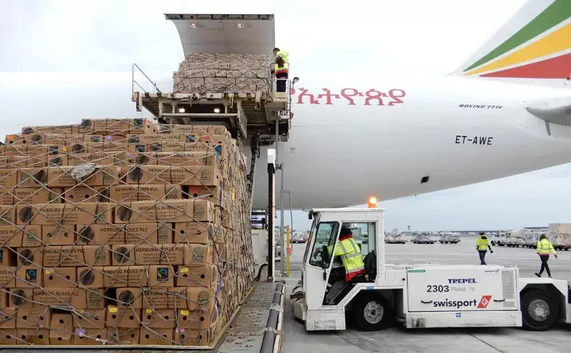 Swissport Flower Corridor moves 9,000 tonnes of fresh roses for Valentines Day Swissport Flower Corridor moves 9,000 tonnes of fresh roses for Valentines Day