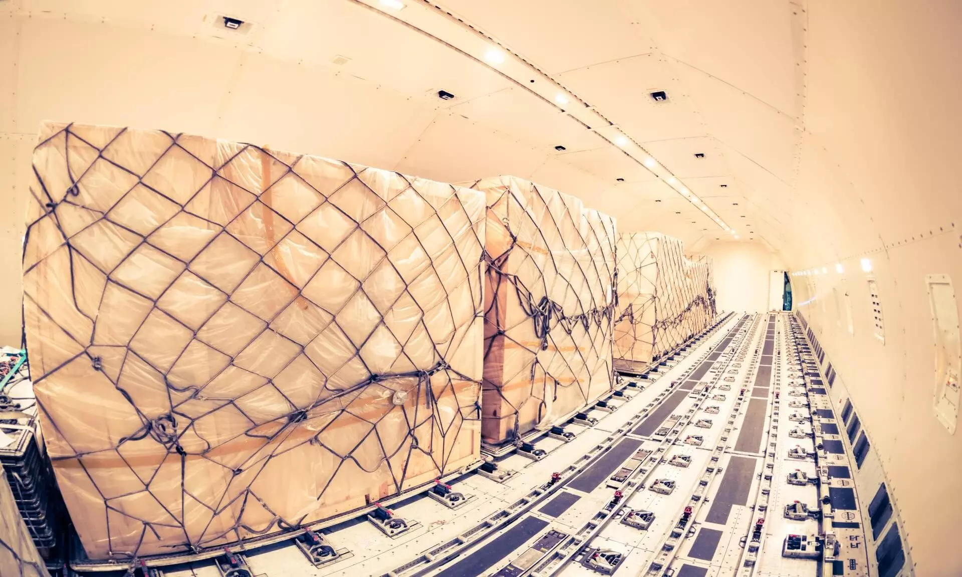 Indian e-commerce takes the air route to deliver cross-border Indian e-commerce takes the air route to deliver cross-border