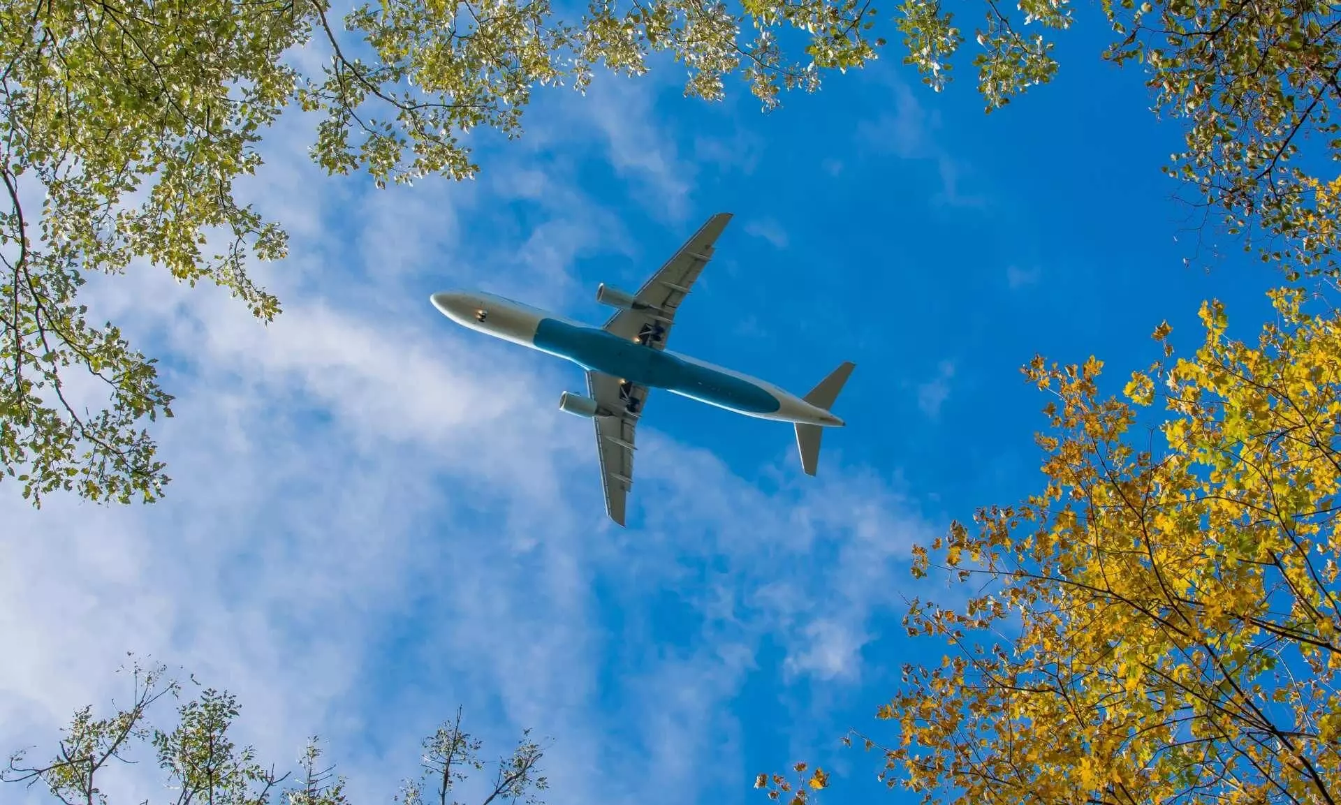 TIACA launches climate action investment platform TIACA launches climate action investment platform