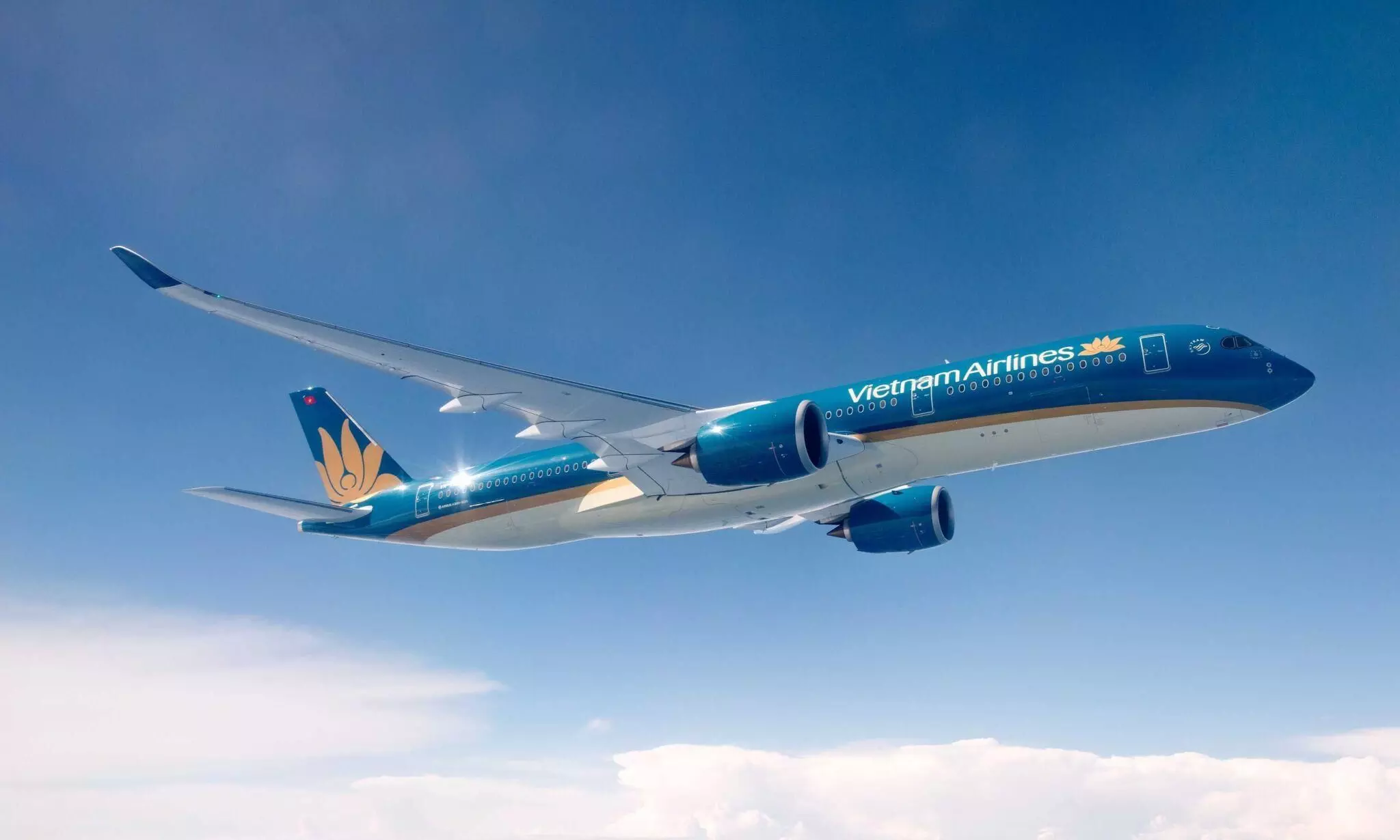 Group Concorde becomes cargo GSA of Vietnam Airlines in India