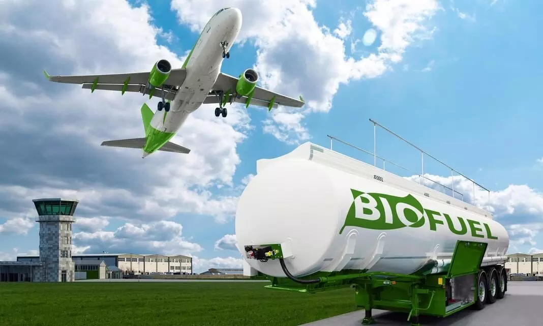 How air cargo is embracing green practices