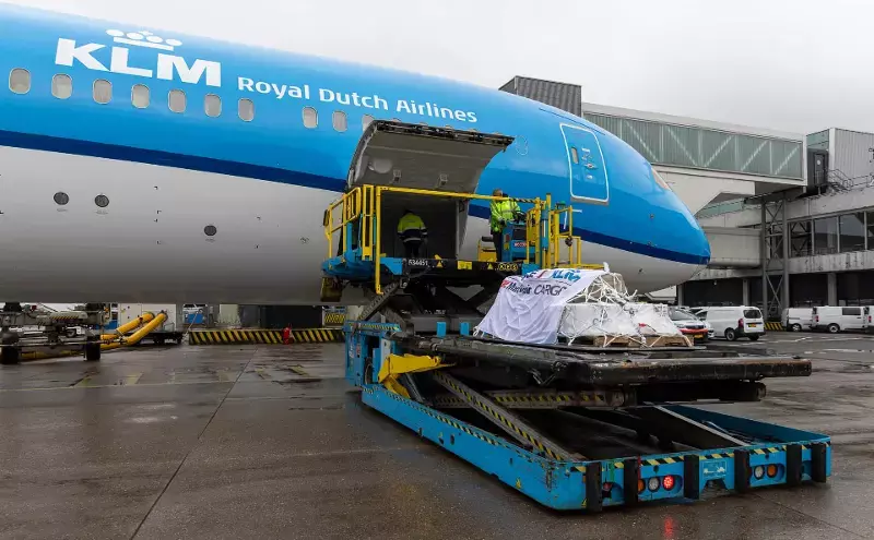 AFKLM Martinair Cargo transports koalas to the Netherlands AFKLM Martinair Cargo transports koalas to the Netherlands