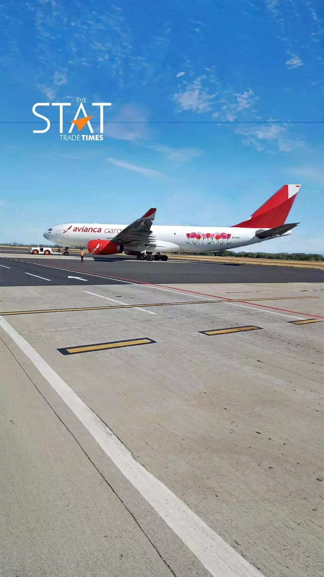 Avianca Groups cargo revenue dropped by 8.3% in 2024 first quarter